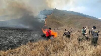 Terdakwa Kebakaran Gunung Bromo Divonis 2,5 Tahun Penjara