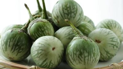 7 Manfaat Terong Bulat Hijau bagi Kesehatan
