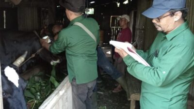 Hewan Ternak Tetap Sehat, Diperta Probolinggo Beri Layanan Posyandu Ternak
