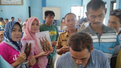 Pelaku Usaha Pengolahan Ikan di Probolinggo Diberikan Pelatihan Mengemas