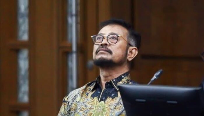 Mantan Menteri Pertanian Divonis 10 Tahun Penjara, Begini Putusan Hakim
