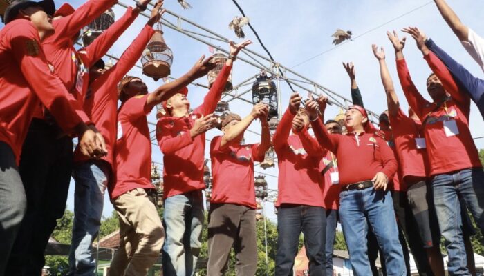 Pemkab Probolinggo Adakan Lomba Gacoran Perkutut dan Bazar UMKM