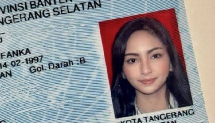 Waspada! OJK Menghimbau Agar Tak Sembarangan Memberi Data Pribadi