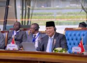 Presiden Prabowo Serukan Persatuan Negara Muslim di KTT D-8 di Mesir