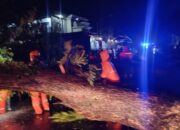 Cuaca Ekstrem di Probolinggo, Pohon Tumbang Halangi Jalan dan Timpa Rumah Warga