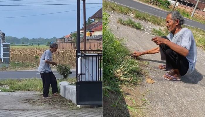 Seorang Kakek Tawarkan Jasa Bersihin Rumput, Kakek: Bayar Berapa Saja, Air Minum Gakpapa