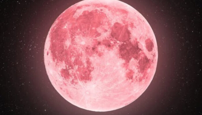 Fenomena Bulan Purnama Stroberi Akan Menghiasi Langit Indonesia, Catat Tanggalnya
