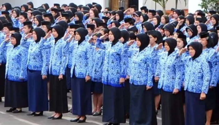 Pengumuman Hasil Seleksi PPPK Tahap 2 Tahun 2024, Ini Cara Cek dan Tahapan Selanjutnya
