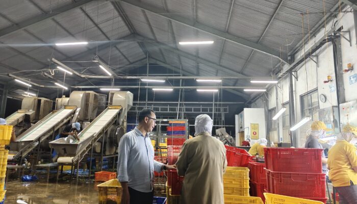 Ekspor Kedelai Edamame Masih Bertahan di Tengah Krisis Global dan Tantangan Ekonomi