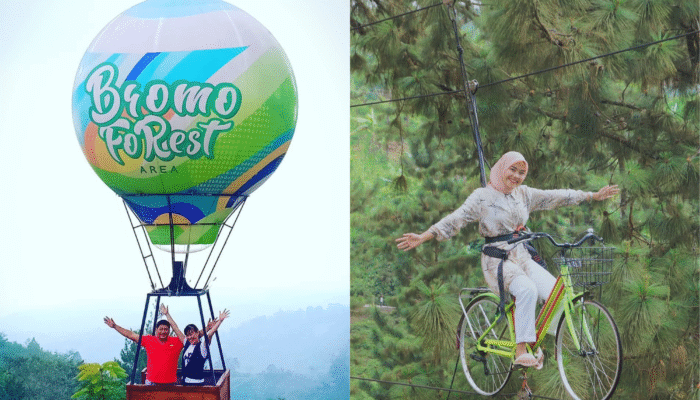 Bromo Forest Area Pasuruan, Surga Baru Pecinta Alam dan Aktivitas Outdoor