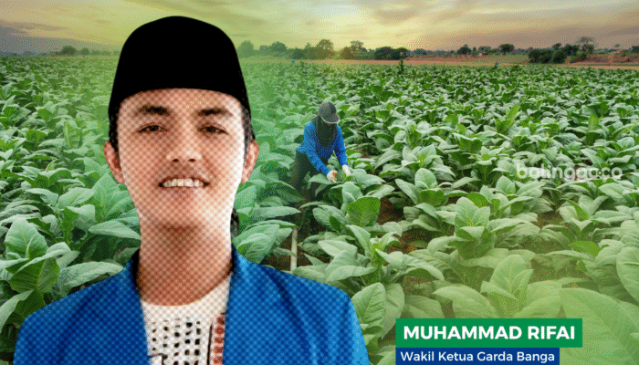 Dinilai Merugikan, Garda Bangsa Probolinggo Desak Pemerintah untuk Perlindungan Petani Tembakau