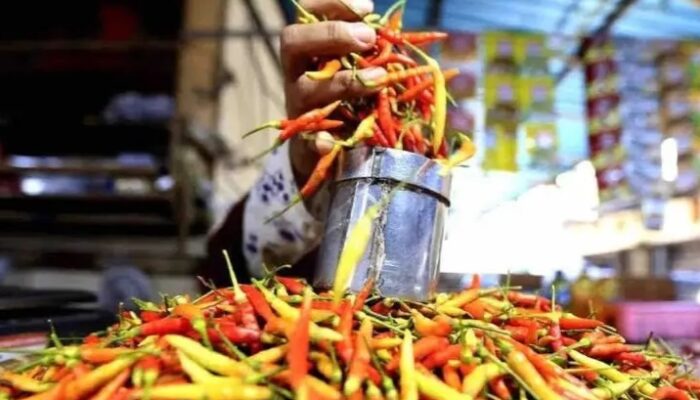 Harga Cabai Rawit Masih Melambung di Probolinggo, Capai Rp 70 Ribu per Kilogram