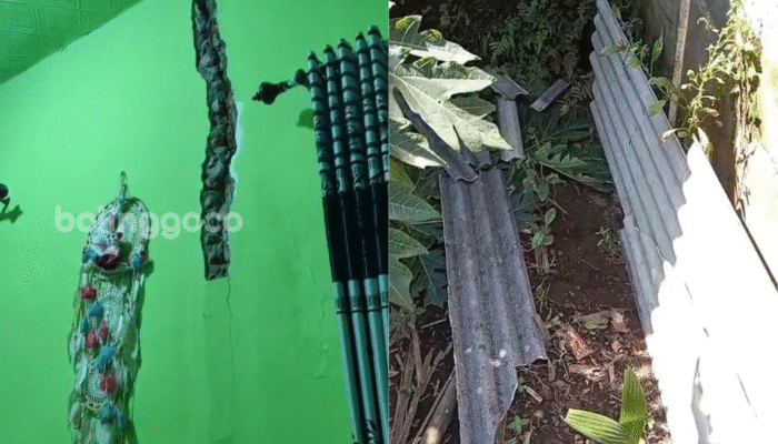 Bikin Panik! Gempa Guncang Probolinggo, Rumah Warga Alami Kerusakan
