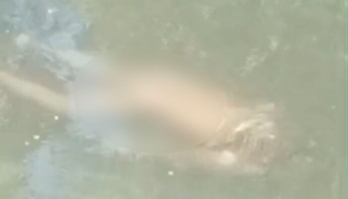Kakek Ditemukan Meninggal Mengambang di Sungai Pekalen Probolinggo