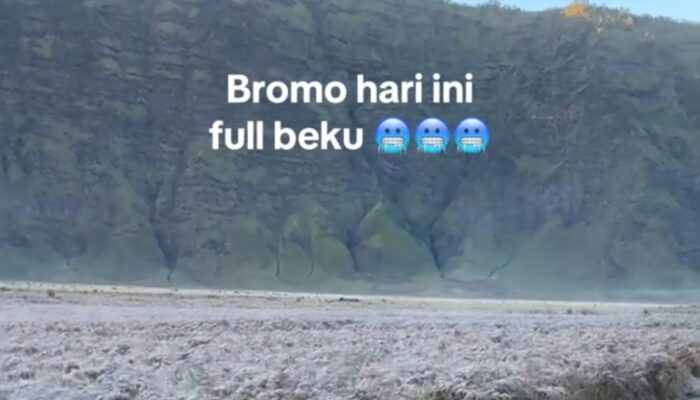 Kawasan Wisata Bromo Diselimuti Embun Beku, Warganet: Full Beku Savana Hari Ini