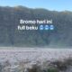 Kawasan Wisata Bromo Diselimuti Embun Beku, Warganet: Full Beku Savana Hari Ini