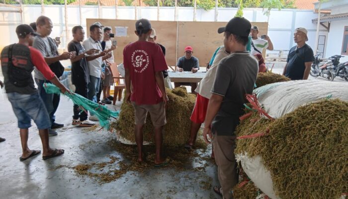 Sidak Gudang Tembakau di Probolinggo, DPRD & HKTI Soroti Dugaan Permainan Harga