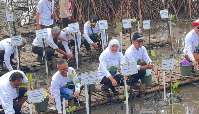 Gubernur Khofifah Tanam Mangrove di Pantai Bahak Probolinggo