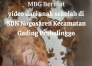 Viral! Menu Makan Bergizi Gratis di Probolinggo Ditemukan Ulat