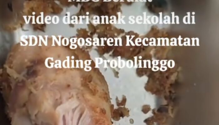 Viral! Menu Makan Bergizi Gratis di Probolinggo Ditemukan Ulat
