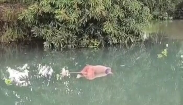 Seorang Pria di Probolinggo Ditemukan Tewas Mengambang di Sungai Sumberbulu