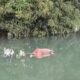 Seorang Pria di Probolinggo Ditemukan Tewas Mengambang di Sungai Sumberbulu