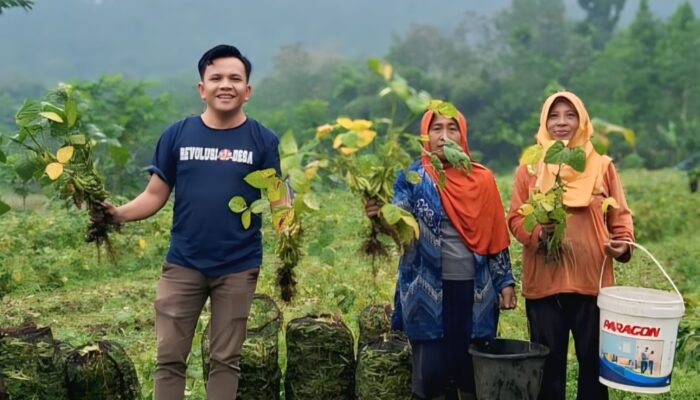 Petani Milenial Asal Probolinggo Sukses Ekspor Edamame Hingga Luar Negeri