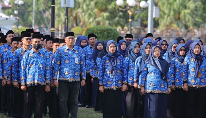PPPK Paruh Waktu Dihapus, Pemerintah Perketat Rekrutmen ASN Profesional