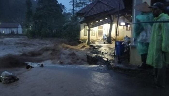 Banjir Tiris Probolinggo Diduga Dipicu Penebangan Hutan di Kawasan Hulu