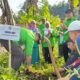 PKB Probolinggo Dorong Kesadaran Lingkungan Lewat Aksi Penanaman Pohon