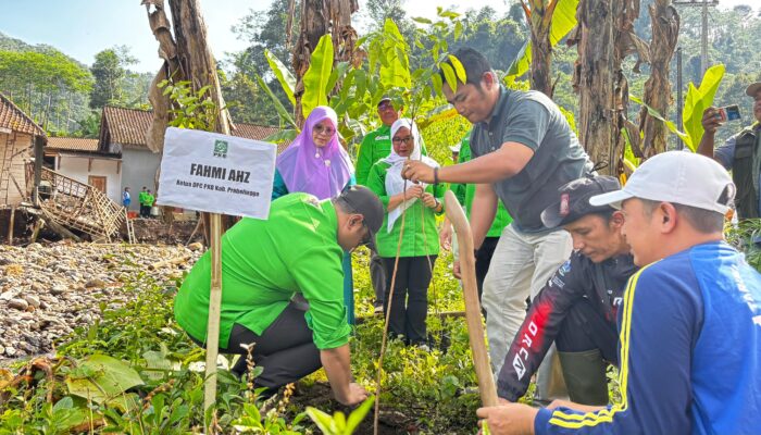 PKB Probolinggo Dorong Kesadaran Lingkungan Lewat Aksi Penanaman Pohon