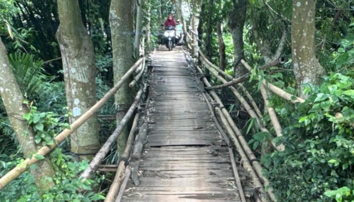 Gerak Cepat Dinas PUPR Probolinggo, 125 Jembatan Setapak Diusulkan ke Pusat