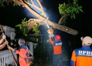 Puting Beliung Terjang Empat Kecamatan di Probolinggo, Rumah Warga Alami Kerusakan