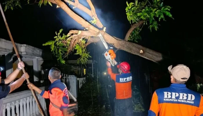 Puting Beliung Terjang Empat Kecamatan di Probolinggo, Rumah Warga Alami Kerusakan