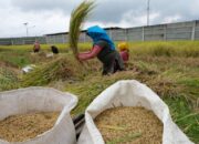 Hasil Panen Petani Jatim Positif, DPRD Minta Pemerintah Jangan Lengah