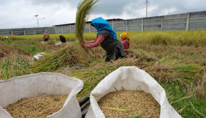 Hasil Panen Petani Jatim Positif, DPRD Minta Pemerintah Jangan Lengah