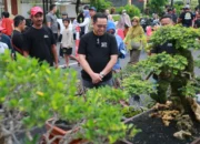 Jemur Bonsai Warnai CFD Probolinggo, Wali Kota Dorong Lokasi Lebih Representatif