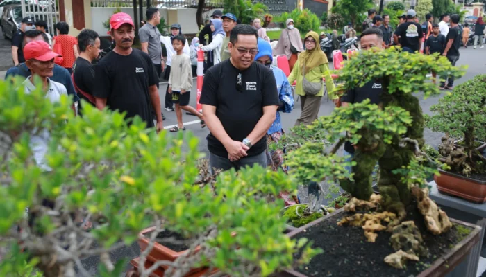 Jemur Bonsai Warnai CFD Probolinggo, Wali Kota Dorong Lokasi Lebih Representatif