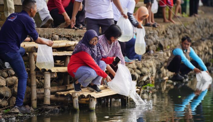 Ribuan Bibit Ikan Ditebar, Ranu Sentong Probolinggo Disiapkan Jadi Destinasi Andalan