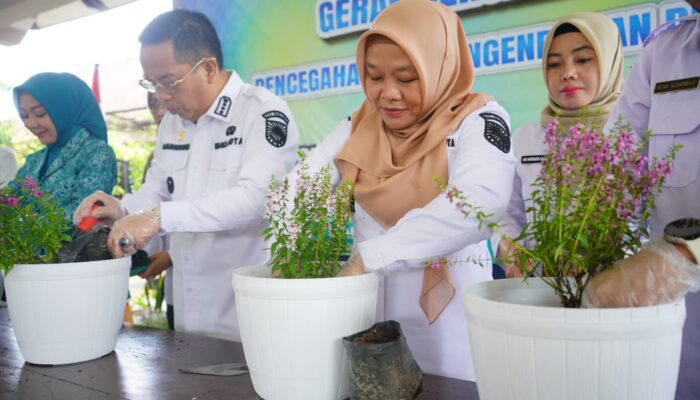 Kanigaran Tertinggi Kasus DBD, Wali Kota Probolinggo Dorong Gerakan Lavenderisasi