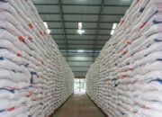 Mentan Amran Pastikan Stok Beras Nasional Aman Hingga 10 Bulan ke Depan