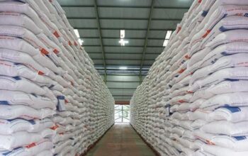 Mentan Amran Pastikan Stok Beras Nasional Aman Hingga 10 Bulan ke Depan