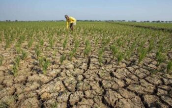 Indonesia Mulai Masuk Kemarau, BMKG Waspadai El Nino Semester Kedua