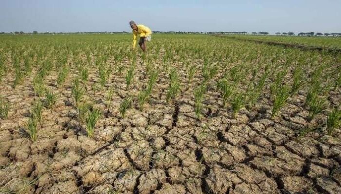 Indonesia Mulai Masuk Kemarau, BMKG Waspadai El Nino Semester Kedua