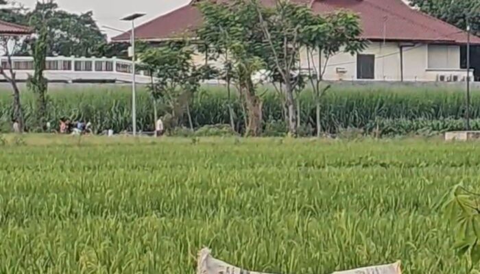 Balap Liar di Jalan Kerinci Probolinggo Resahkan Warga, Aksi Terjadi Tiap Sore