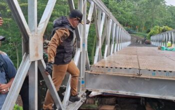 Monev Jembatan Ambruk di Akses Madakaripura, Bupati Pastikan Segera Pulih