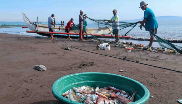 BRIN Ungkap Pengaruh Iklim Global pada Upwelling Selatan Jawa, Dorong Produktivitas Perikanan