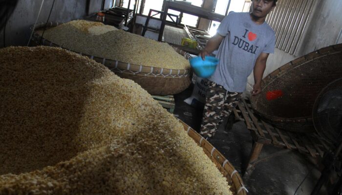 Pemerintah Jaga Stabilitas Harga Kedelai, Pastikan Tak Bebani Pengrajin Tahu Tempe