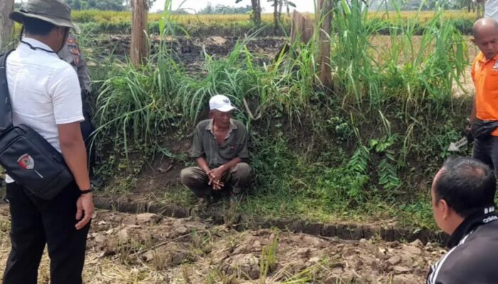 Geger! Wanita Tergeletak di Parit Sawah Tongas dengan Luka di Kepala