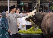 Sapi Kurban Menkeu Purbaya Capai 868 Kg, Disalurkan untuk Warga